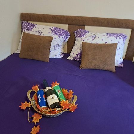 Apartman En Dusanovac 外观 照片