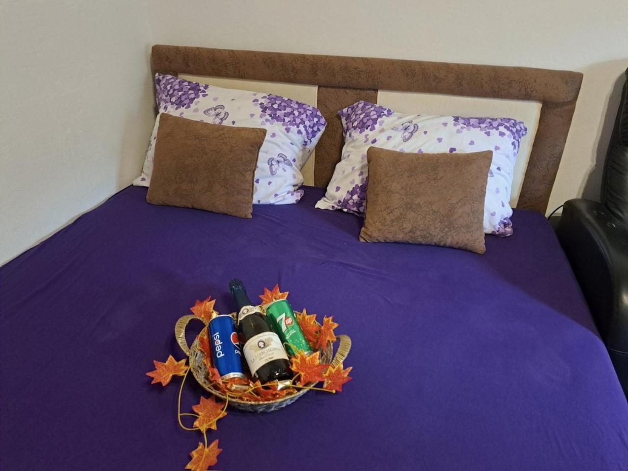 Apartman En Dusanovac 外观 照片