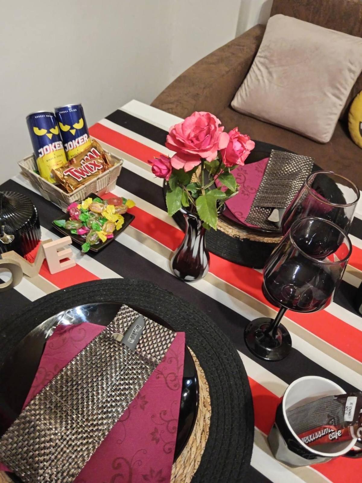 Apartman En Dusanovac 外观 照片